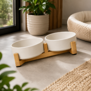 Ceramic Food and Water Bowl Set