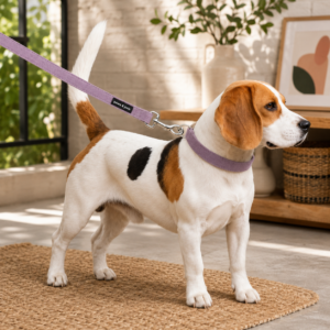 Adjustable Pet Collar for Small Dogs and Cats